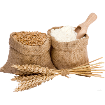 High quality Wheat protein peptide